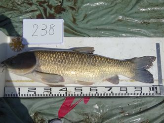102.0cm
