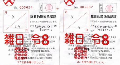 ���ނ茔