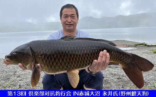 秘蔵 芳賀故城 コイの釣り方 シカケ・ポイント・釣技のすべて 金園社 本