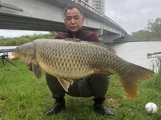 全国鯉釣り協会 Lake Haruna F C会員の投稿 東日本ブロックｐｒ