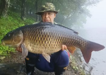 13kg