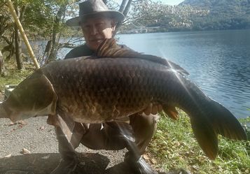 14kg
