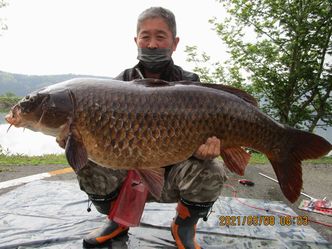 19.5kg
