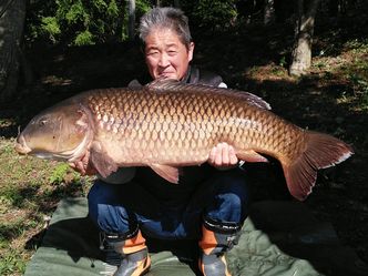 15kg