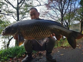 全国鯉釣り協会 Lake Haruna F C会員の投稿 東日本ブロックｐｒ