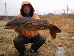 80cm