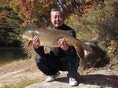 80cm